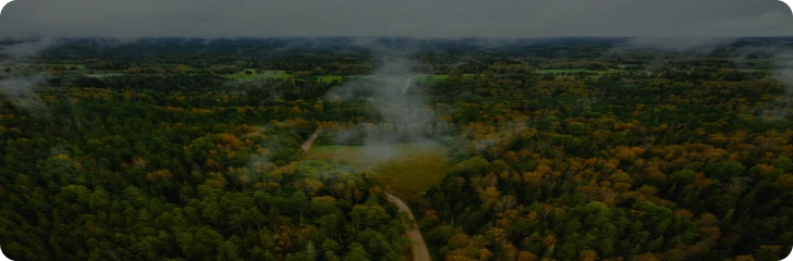 Climate